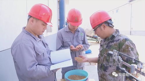 安徽强化服务意识，稳步推进夏粮收购工作