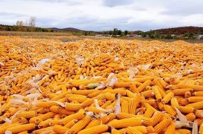 农产品进口量扩大背景下的中国农业未来与粮食收购挑战