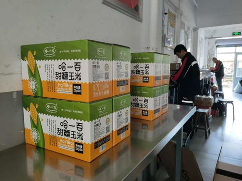 小玉米成就大产业 做强绿色食品加工业的哈一百之路