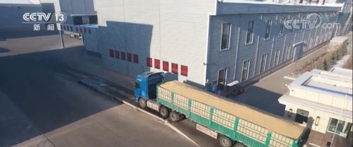 粮食收购企业智能化收储，农户卖上“舒心粮”