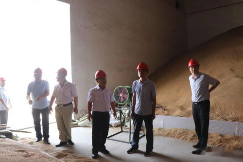 郑泽臣同志赴五莲县粮食储备库调研夏粮收购工作