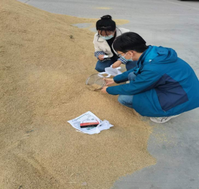 银川市西夏区人民政府初级农产品收购政策与实践