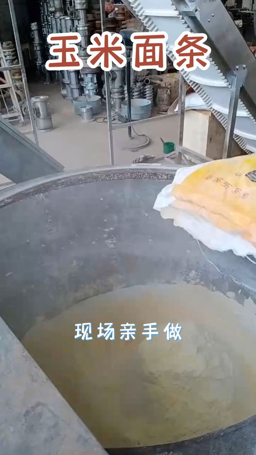 从农田到餐桌 食品机械设备赋能杂粮玉米面条产业升级