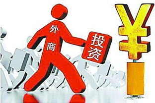 重大举措 中国放开粮食收购与稀土冶炼等22项外资投资限制的影响分析